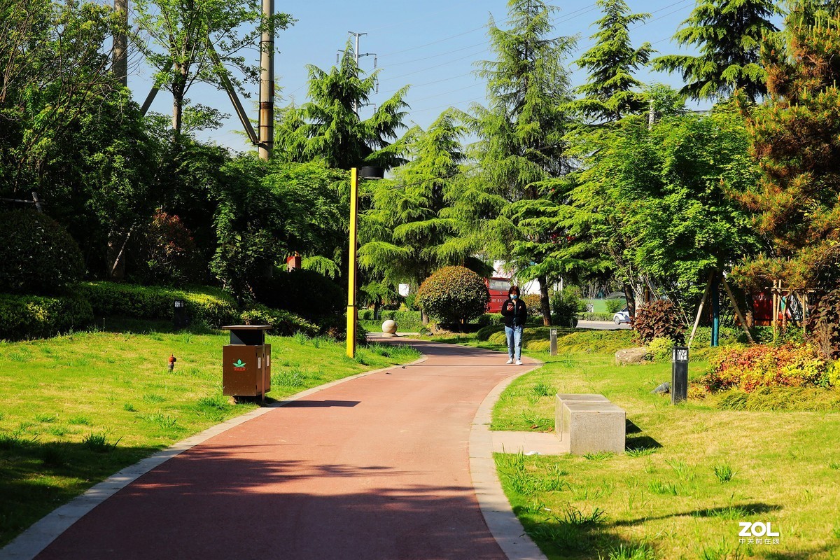 呈上一组渭南春天小景随拍《5》