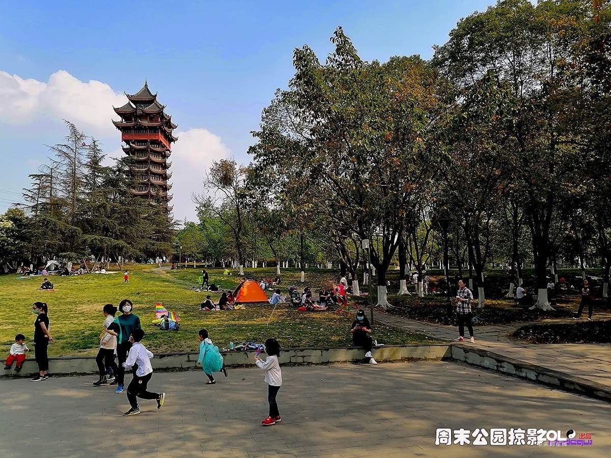 试用华为ART-AL00x拍照