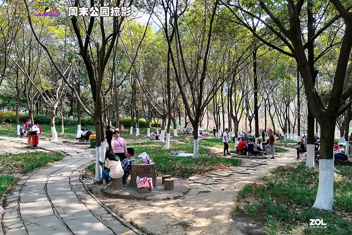 试用华为ART-AL00x拍照