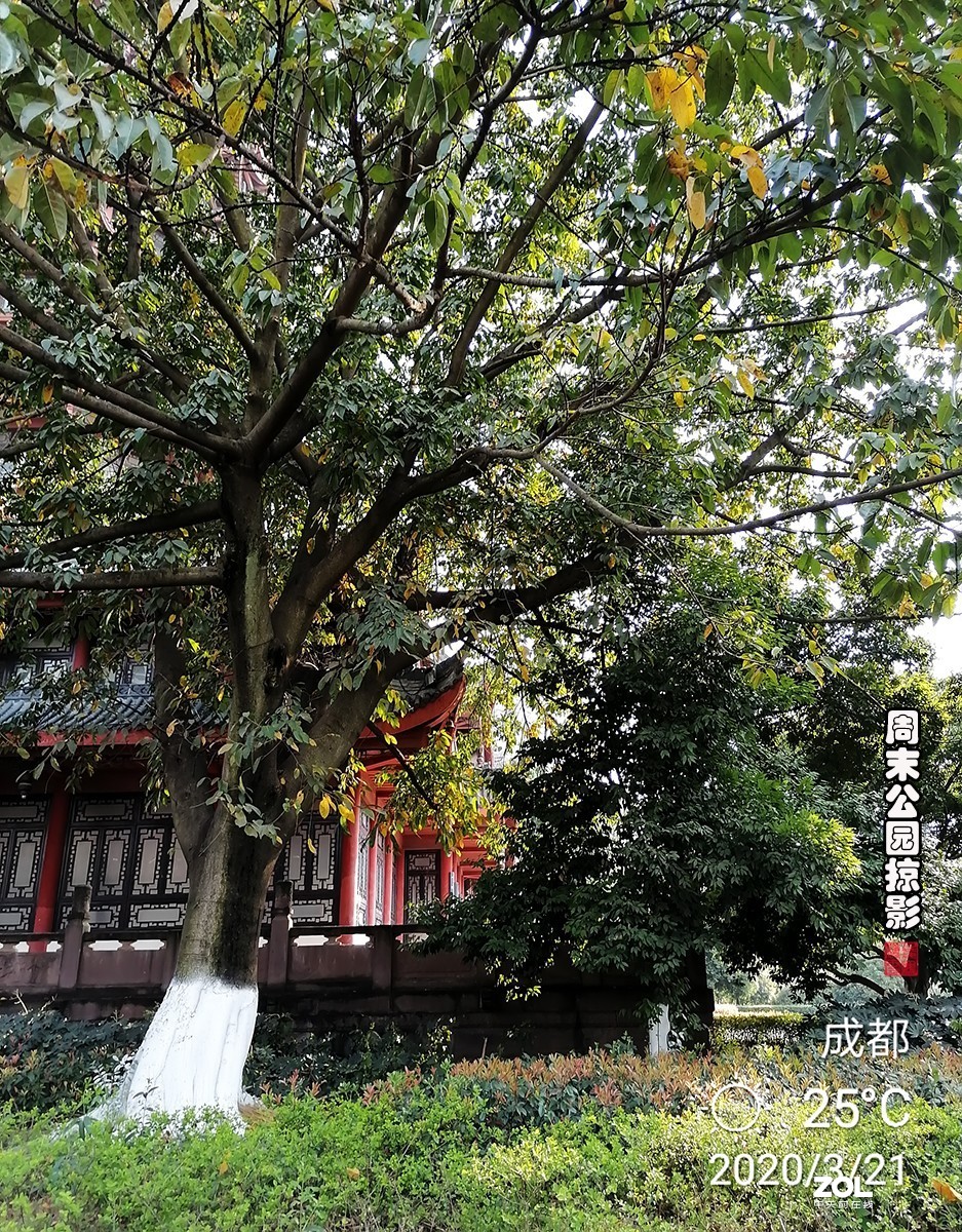 试用华为ART-AL00x拍照