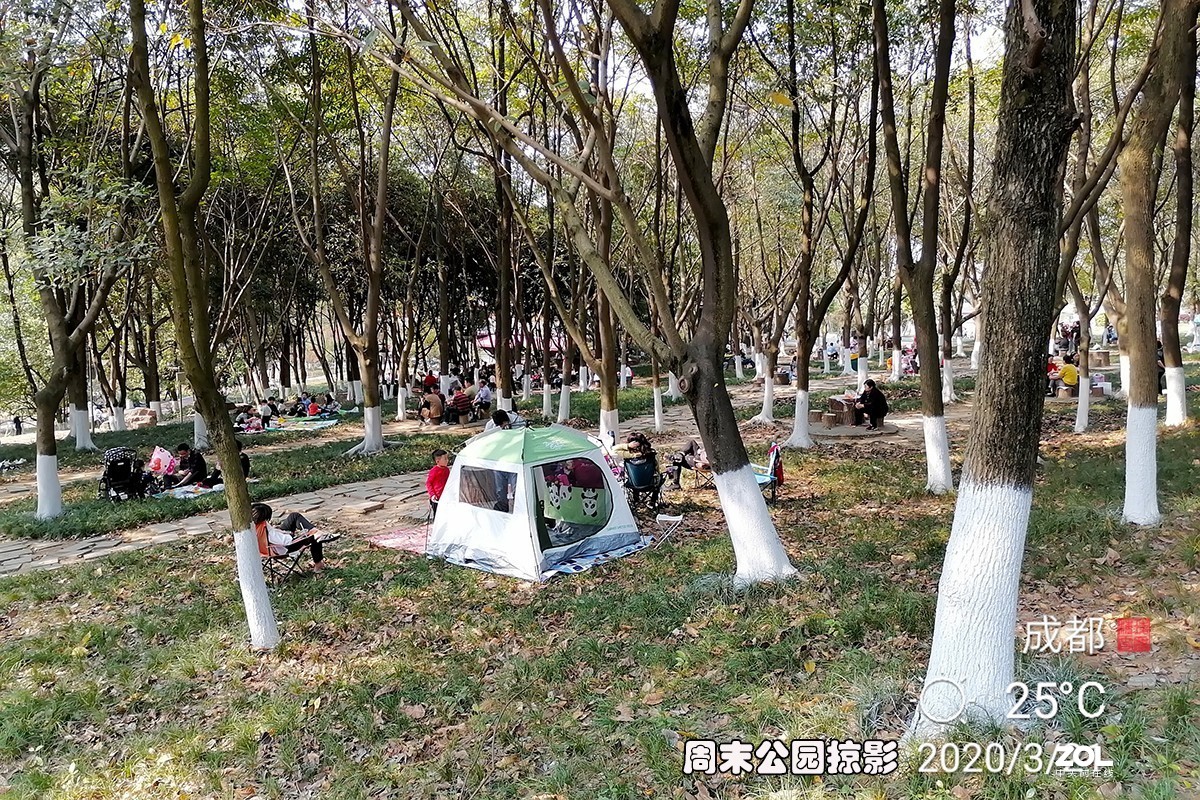 试用华为ART-AL00x拍照