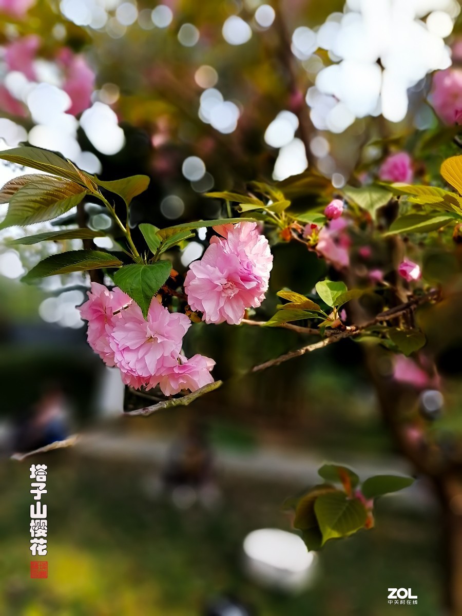 试用华为ART-AL00x拍照