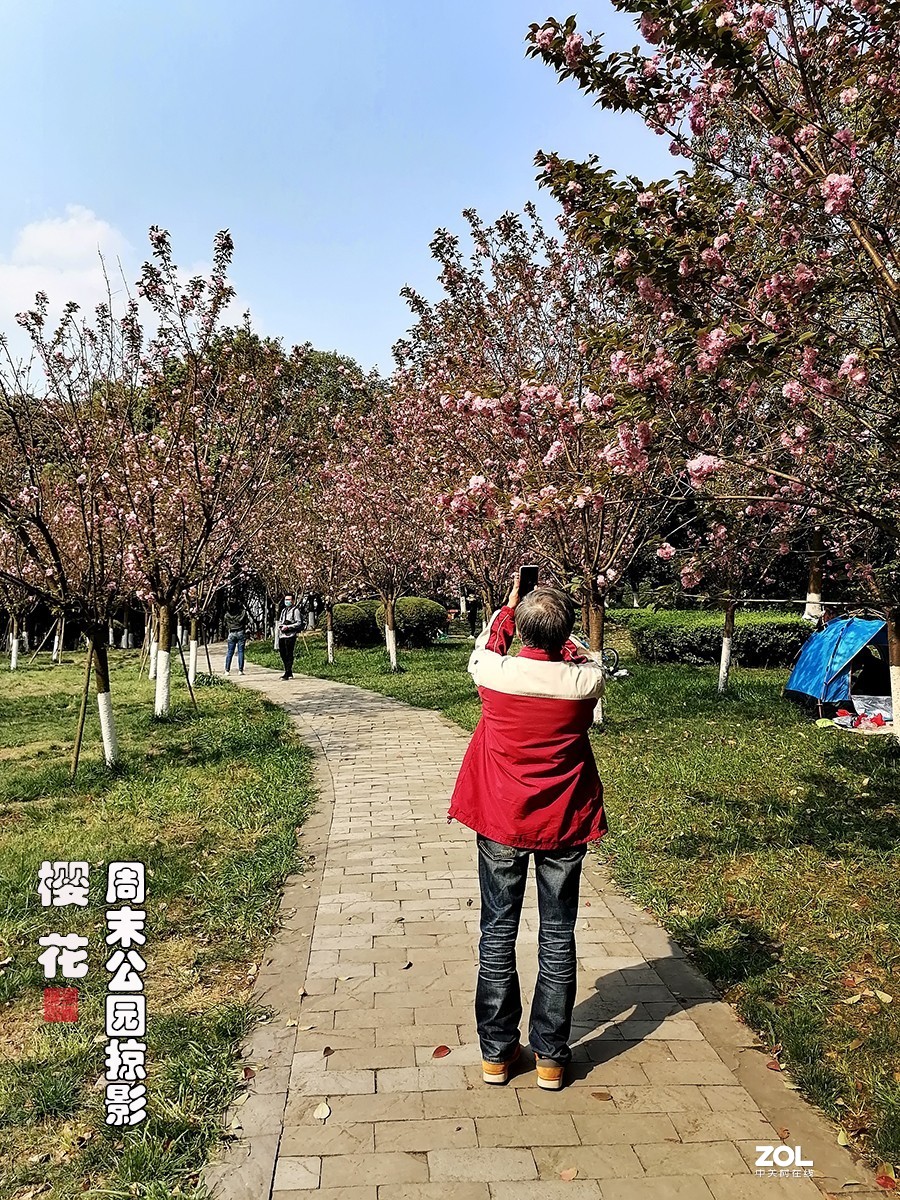 试用华为ART-AL00x拍照