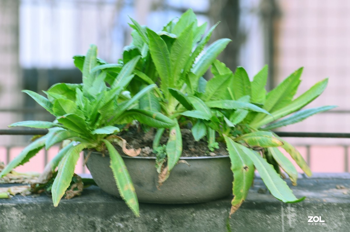 疫情期间 复工复产进行时 随拍