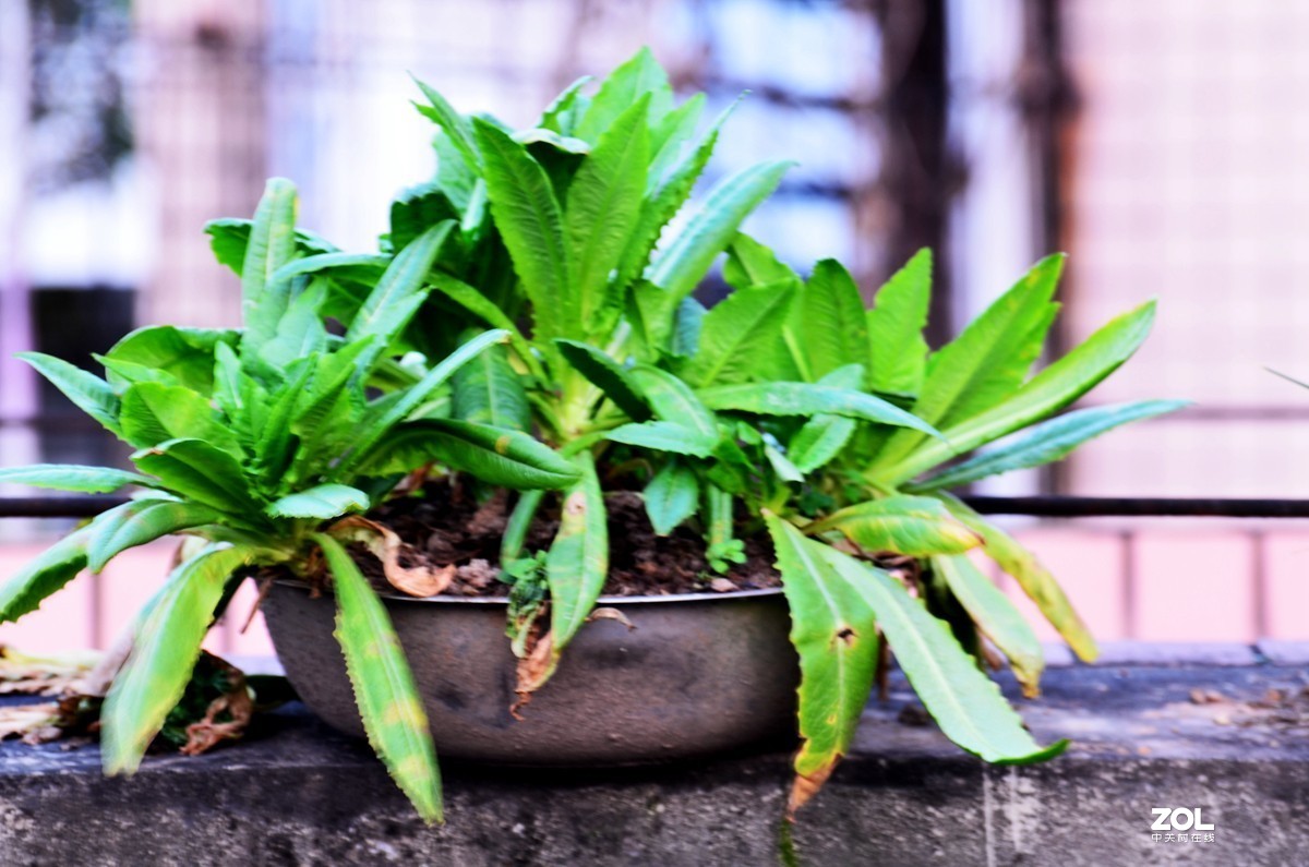 疫情期间 复工复产进行时 随拍