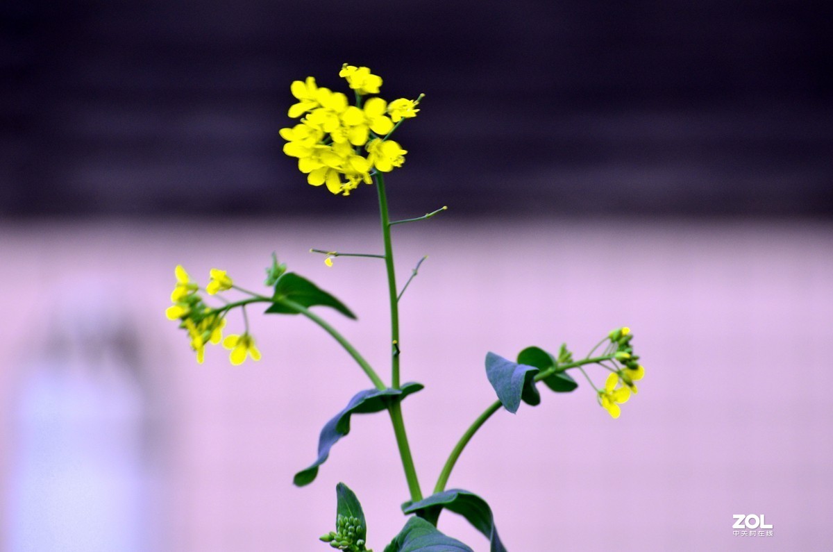 疫情期间 复工复产进行时 随拍