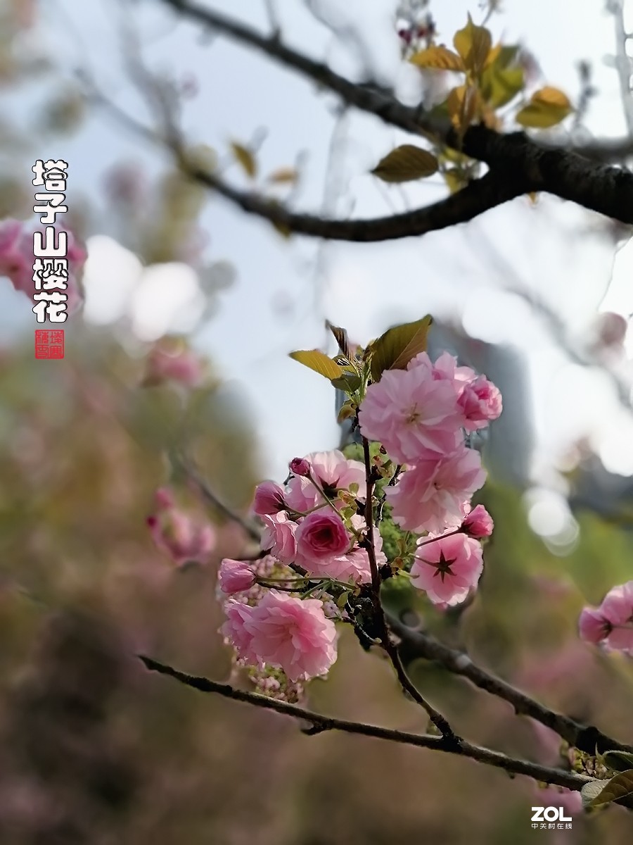 试用华为ART-AL00x拍照