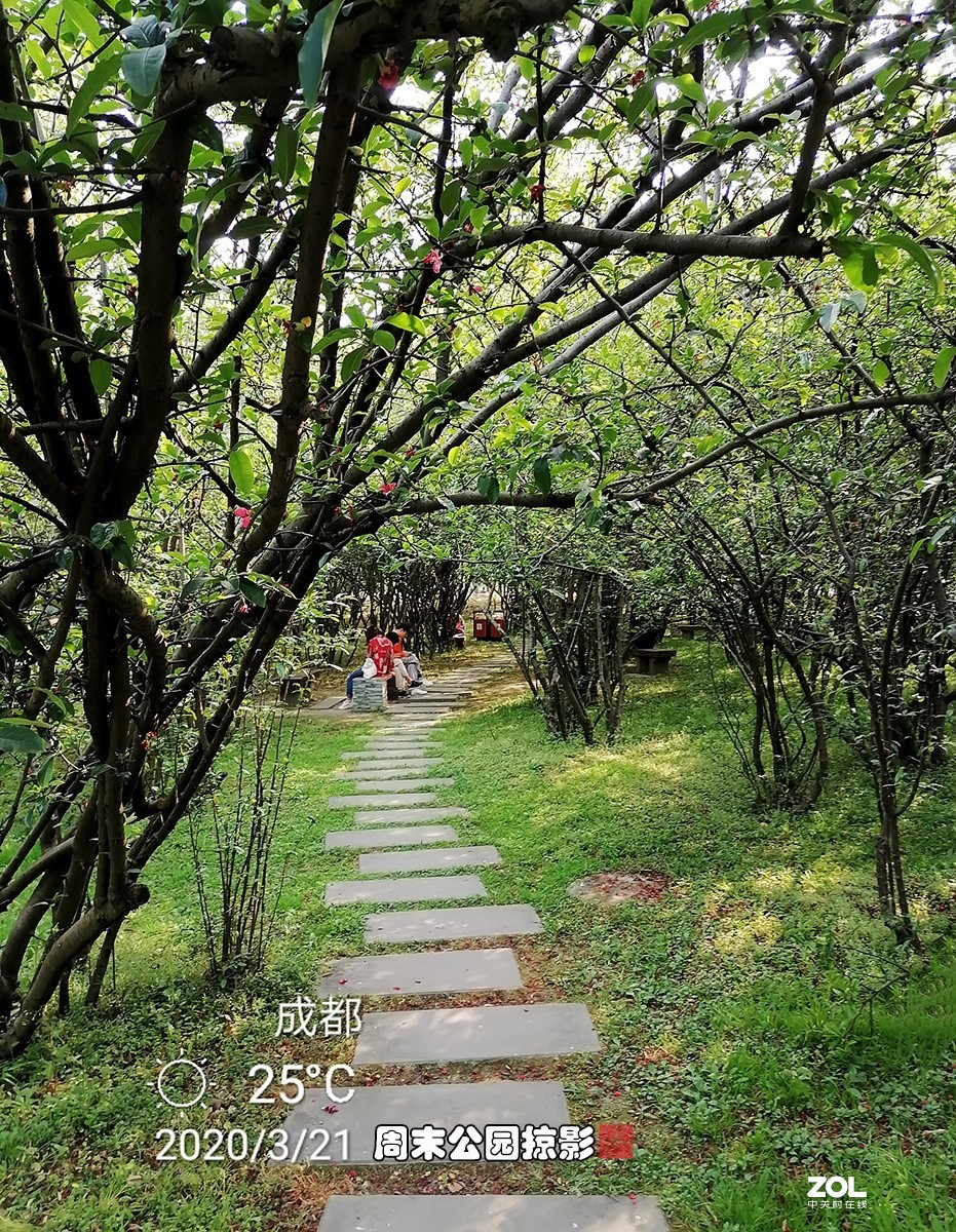 试用华为ART-AL00x拍照