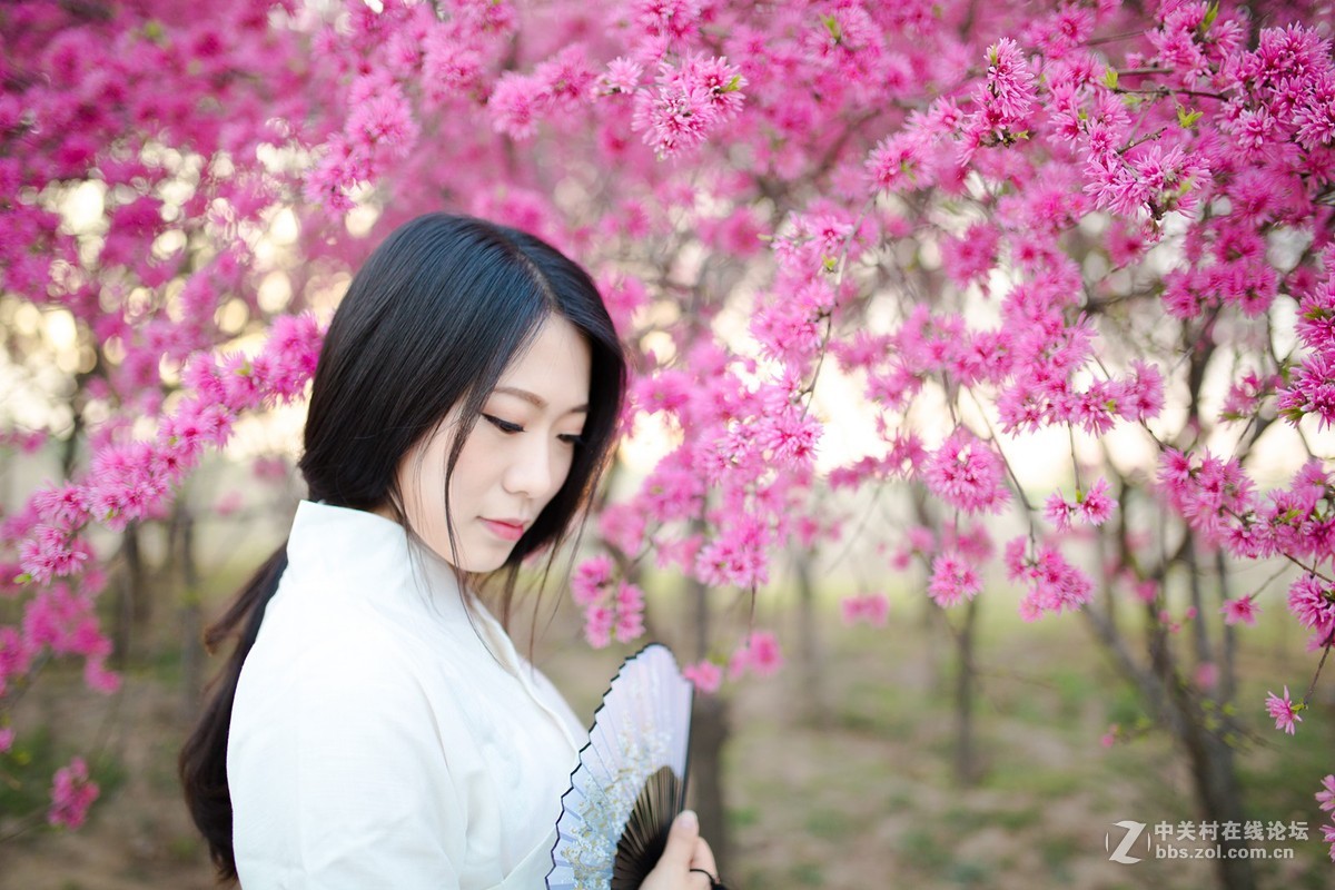 【半路映像】人面花红