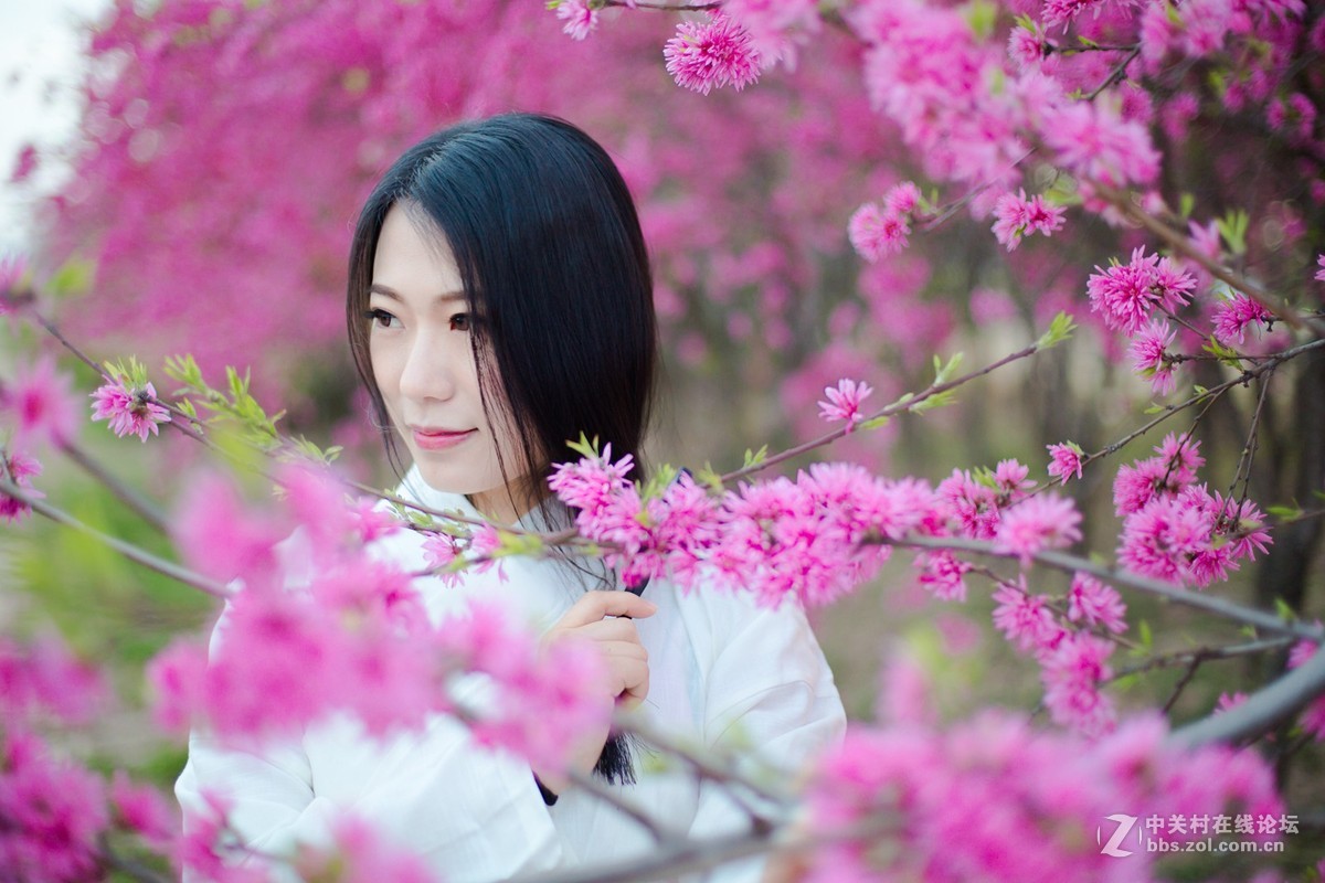 【半路映像】人面花红