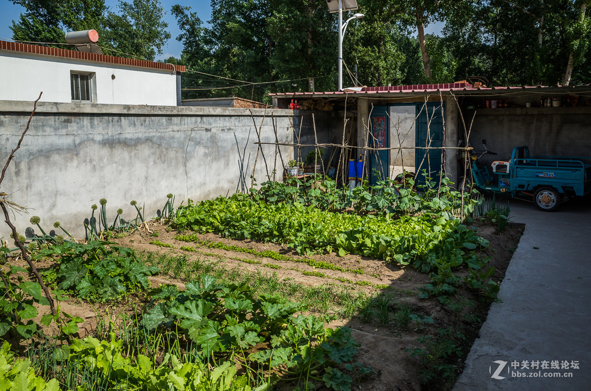 GR陪伴的美好周末