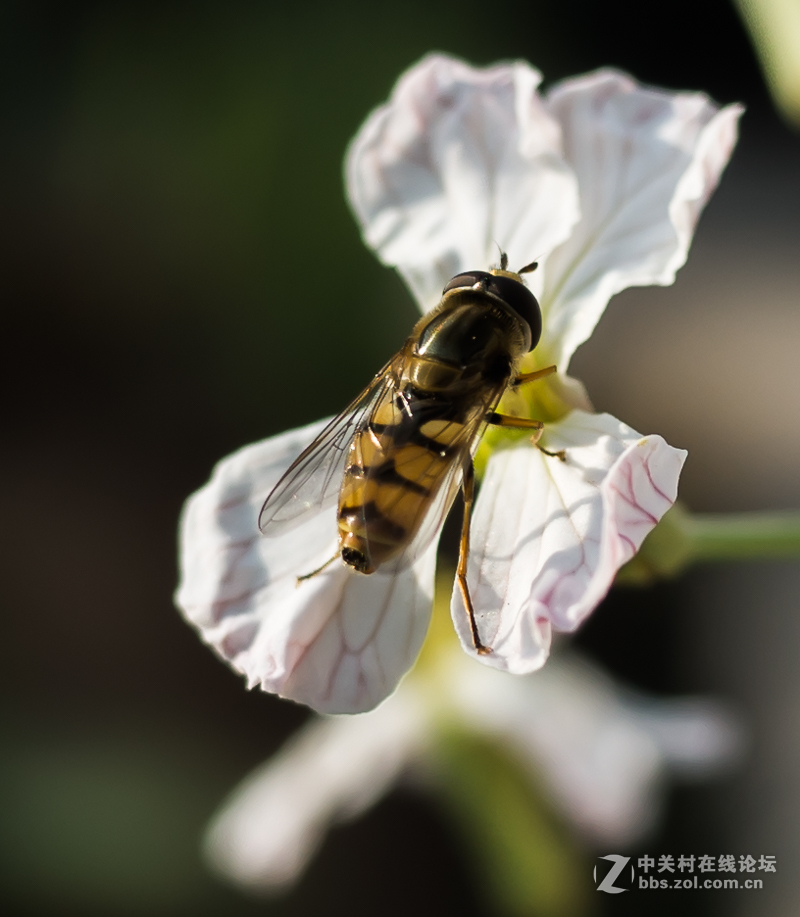 GR陪伴的美好周末