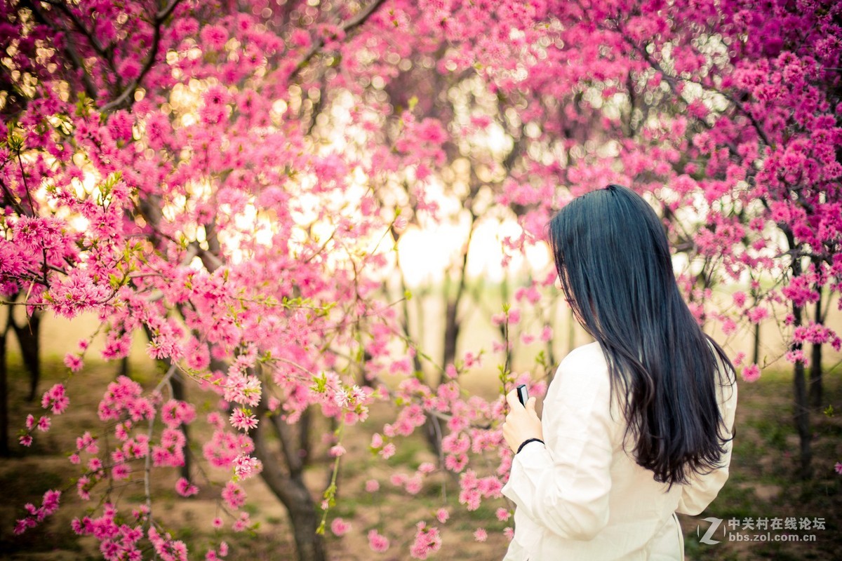 【半路映像】人面花红
