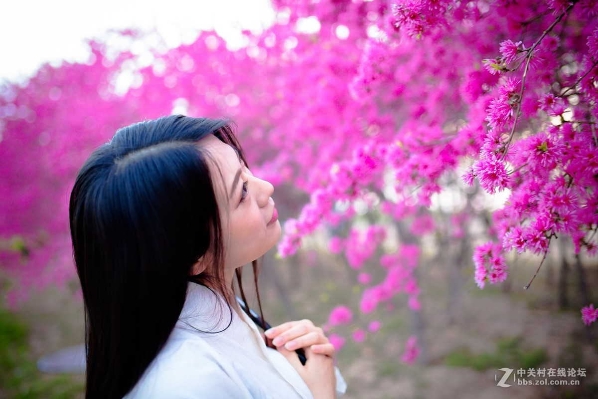 【半路映像】人面花红