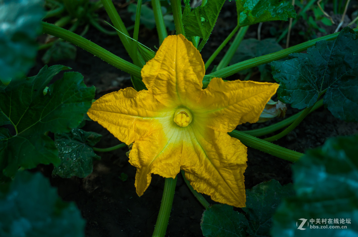 GR陪伴的美好周末