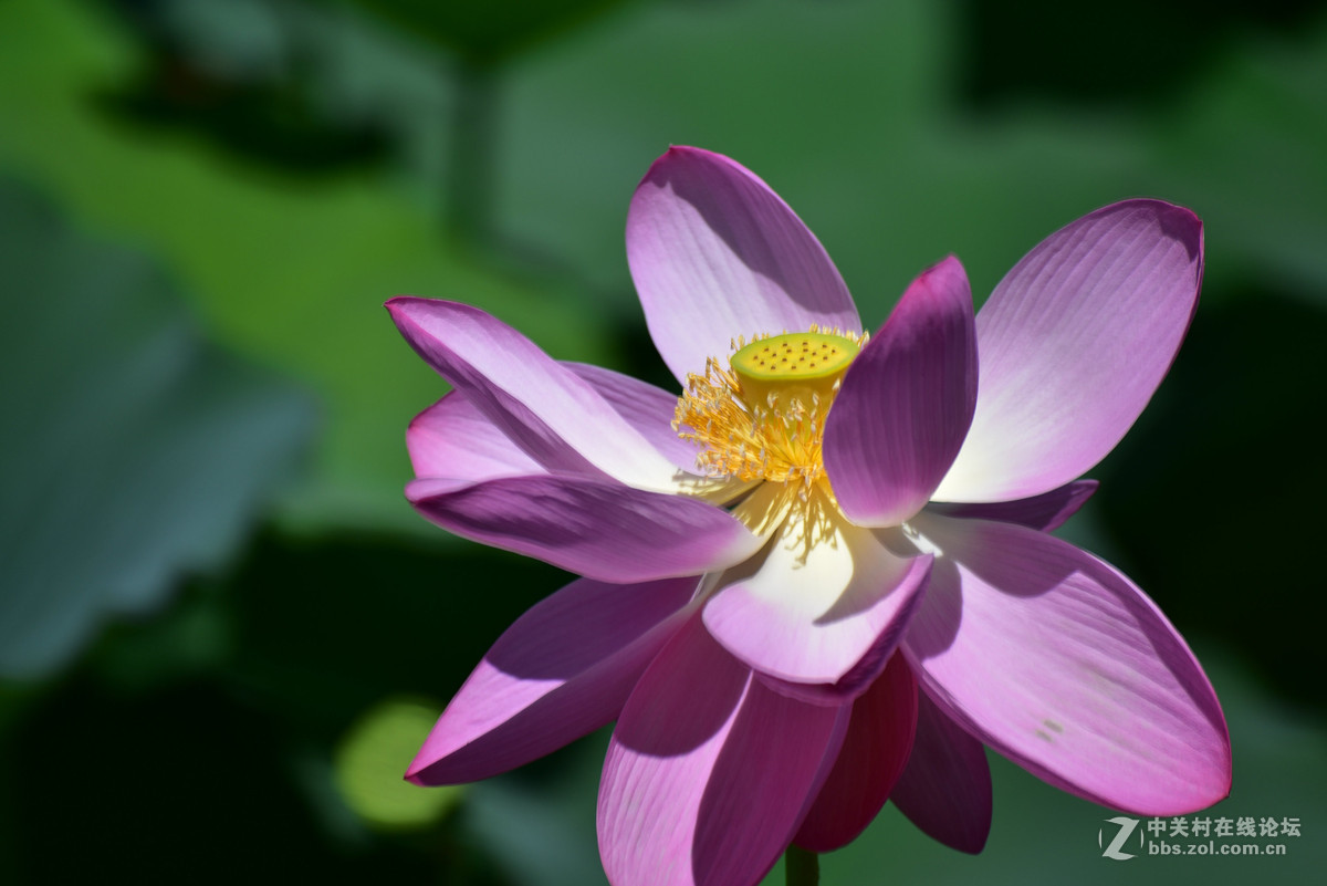 为什么同样的镜头在全幅机身上跑焦？