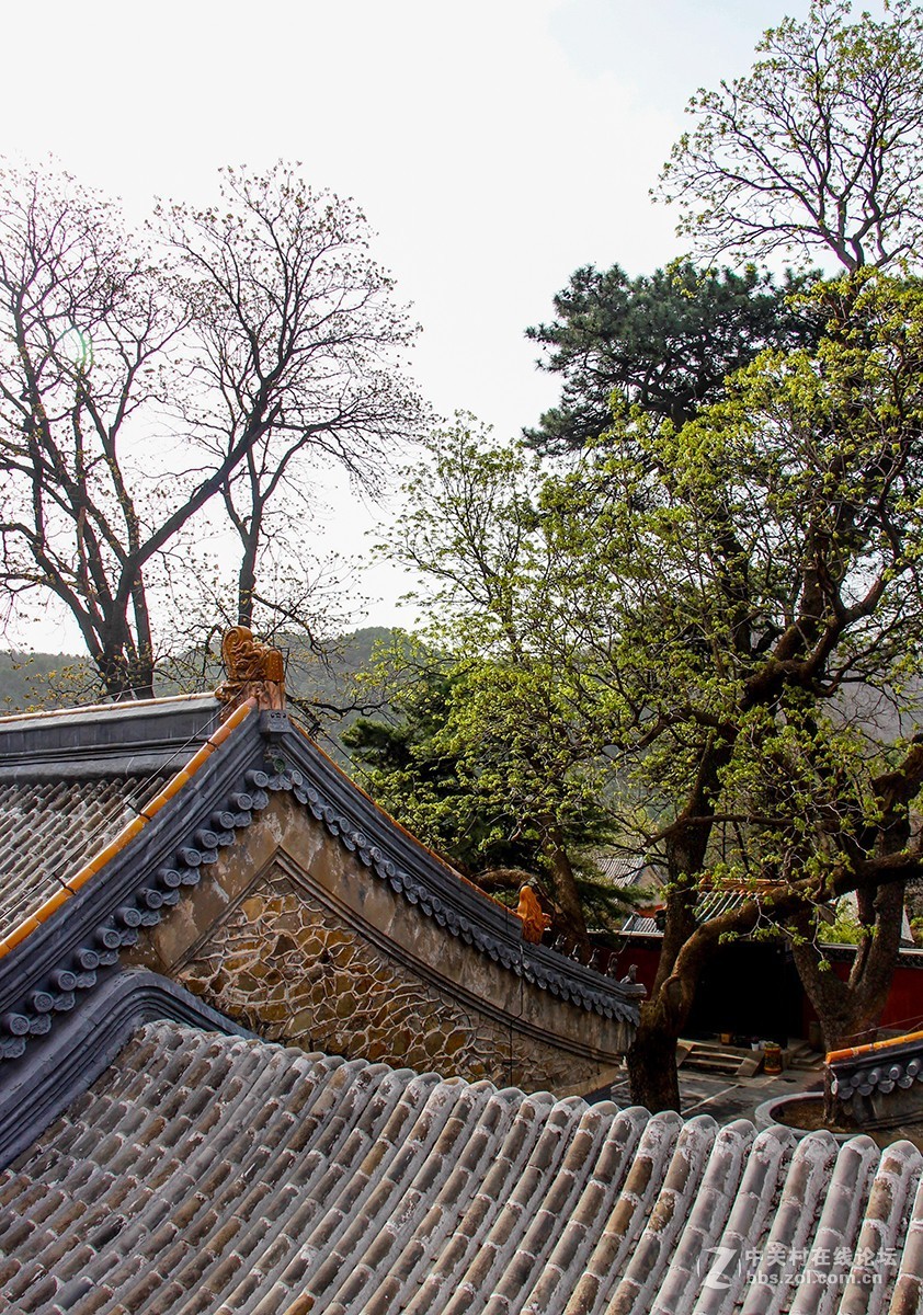 #正是一年最美时# 春游潭柘寺之三