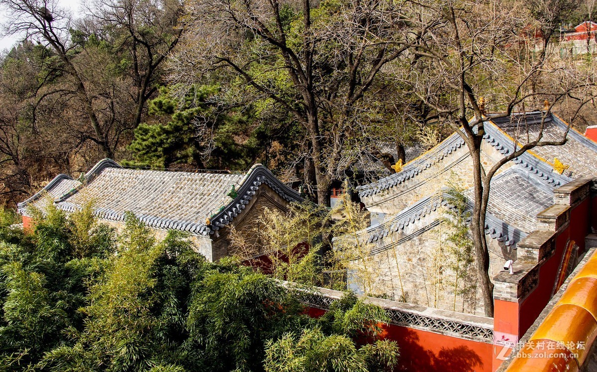 #正是一年最美时# 春游潭柘寺之三