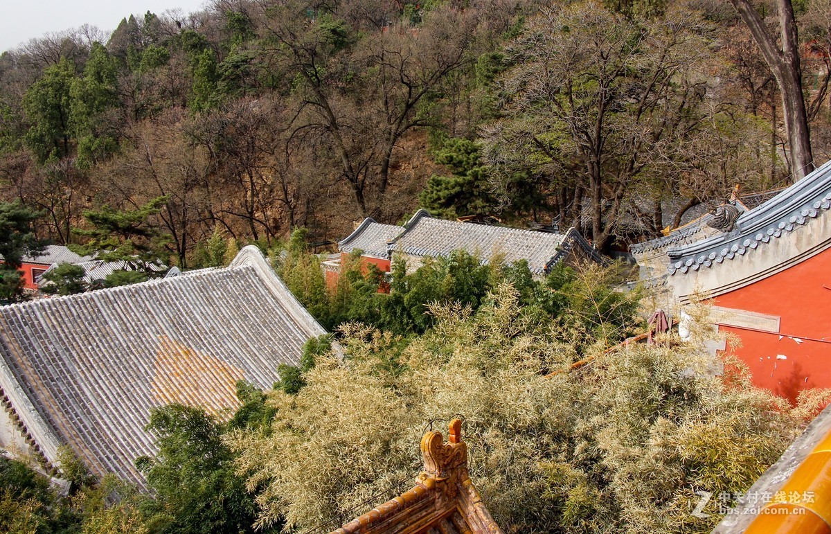 #正是一年最美时# 春游潭柘寺之三