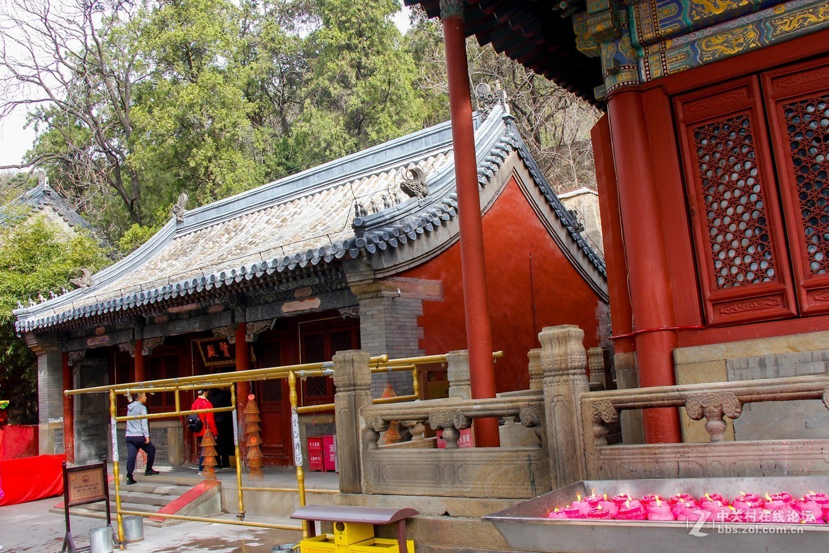 #正是一年最美时# 春游潭柘寺之三