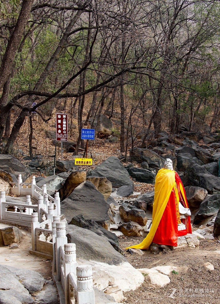 #正是一年最美时# 春游潭柘寺之三