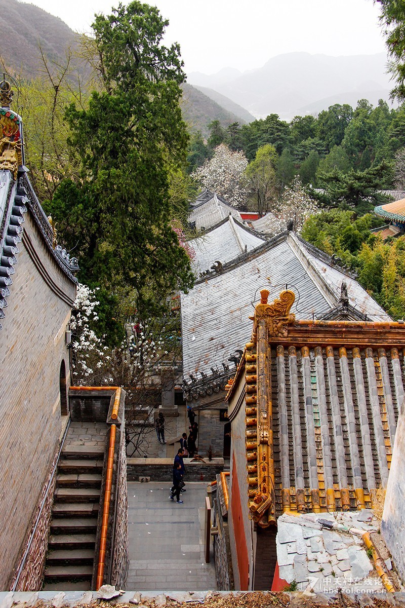 #正是一年最美时# 春游潭柘寺之三