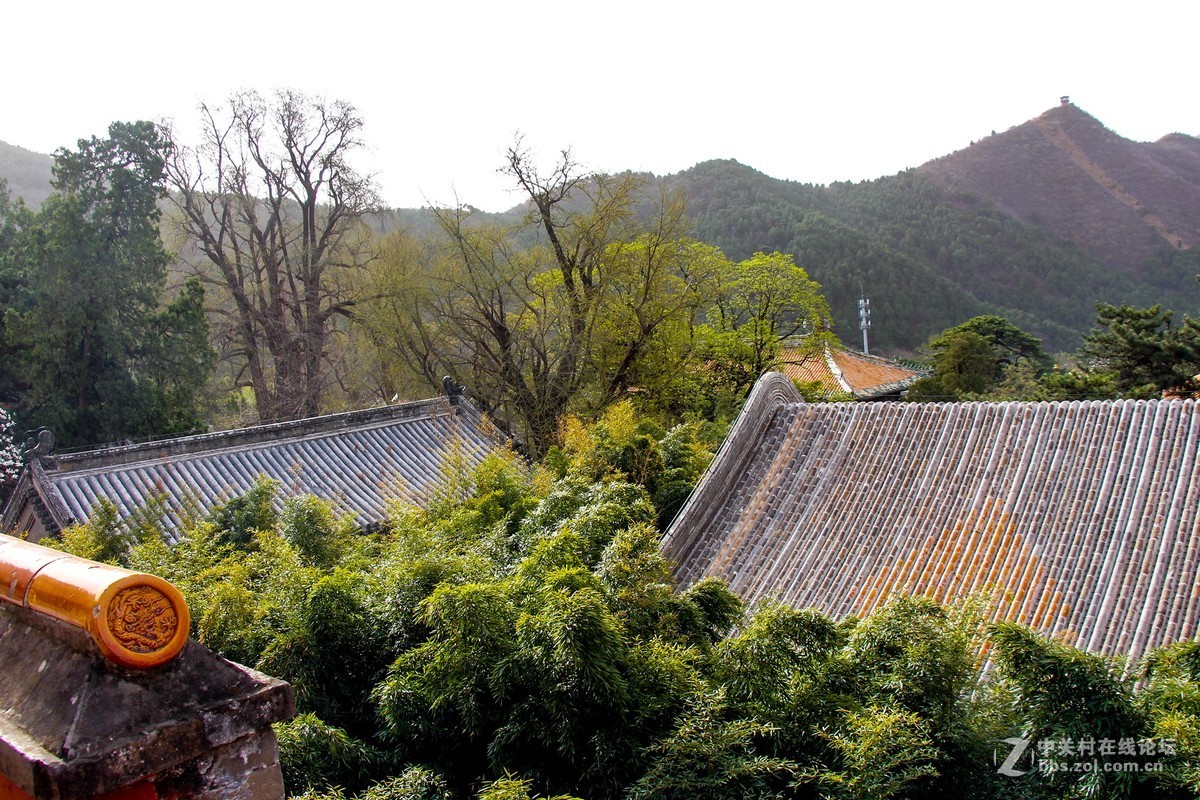 #正是一年最美时# 春游潭柘寺之三