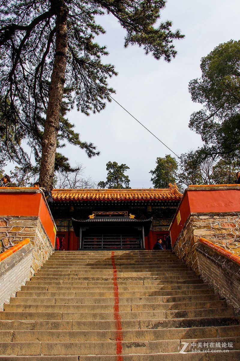 #正是一年最美时# 春游潭柘寺之三