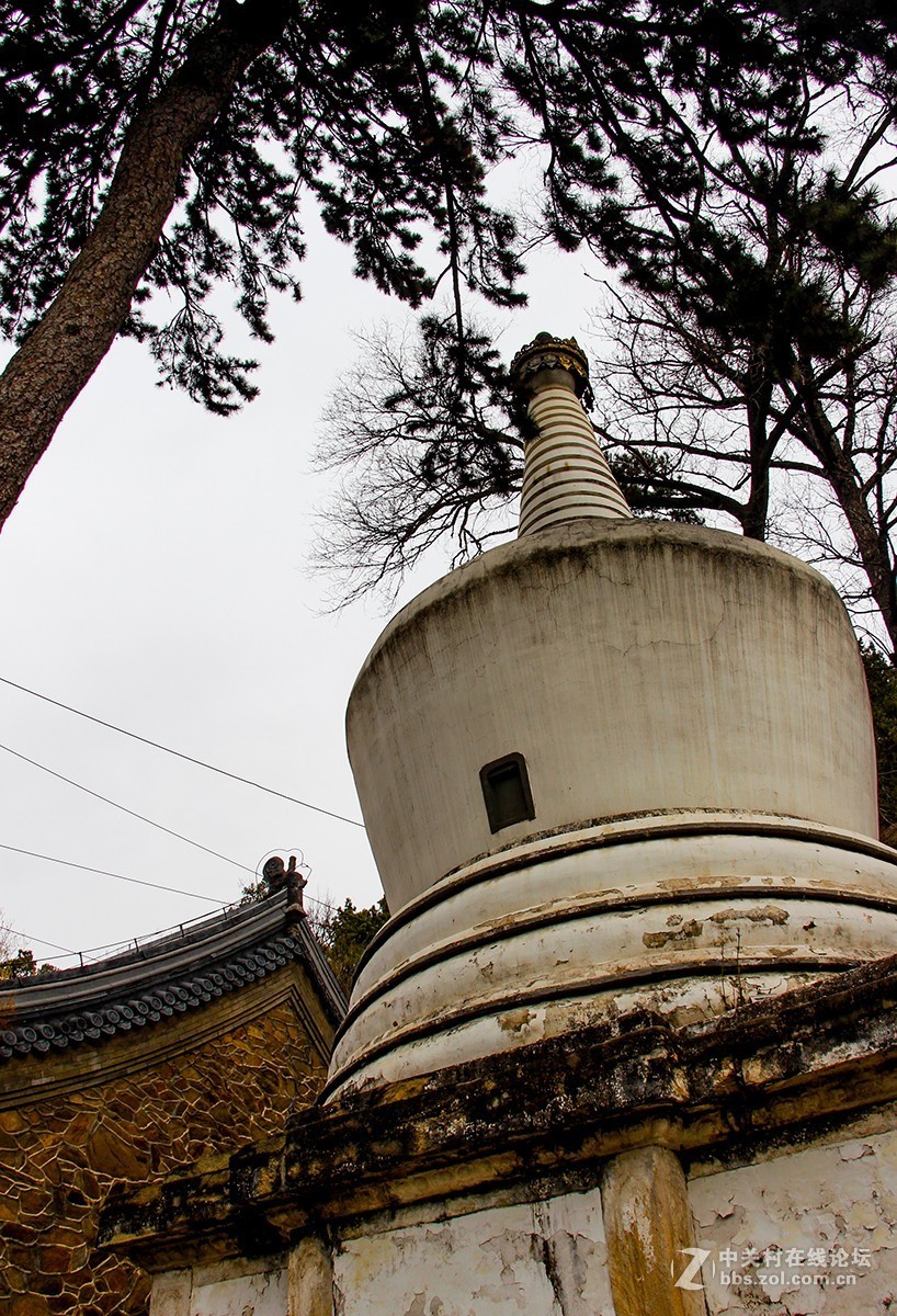 #正是一年最美时# 春游潭柘寺之三