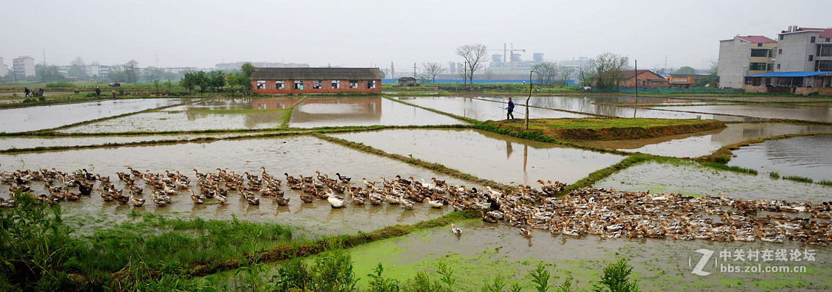 浩浩荡荡的南下大军