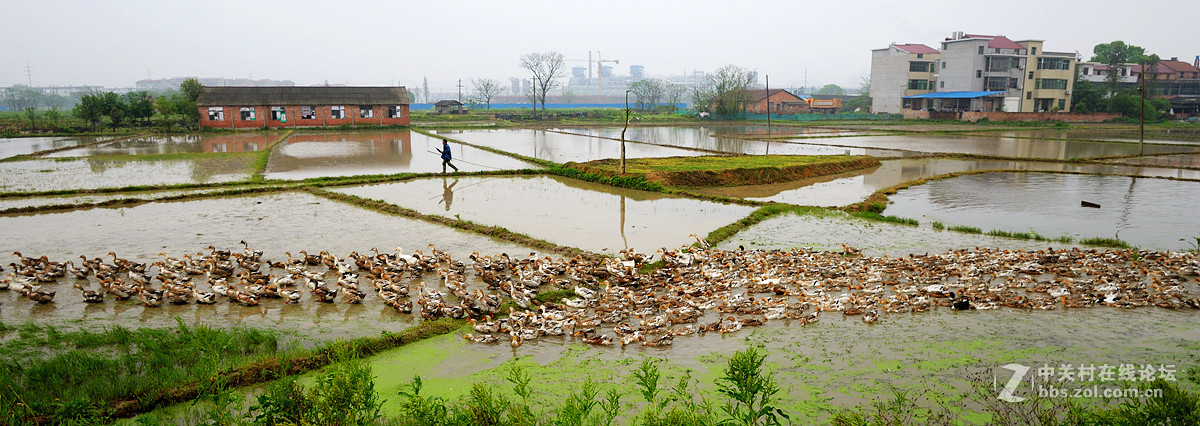 浩浩荡荡的南下大军