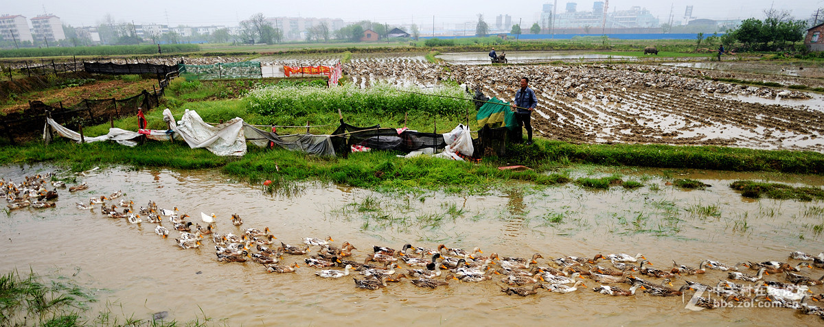 浩浩荡荡的南下大军