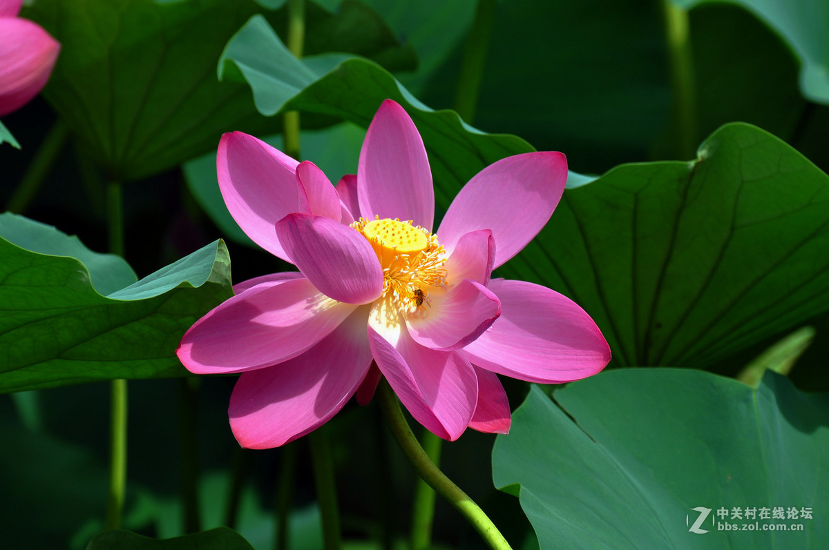 为什么同样的镜头在全幅机身上跑焦？