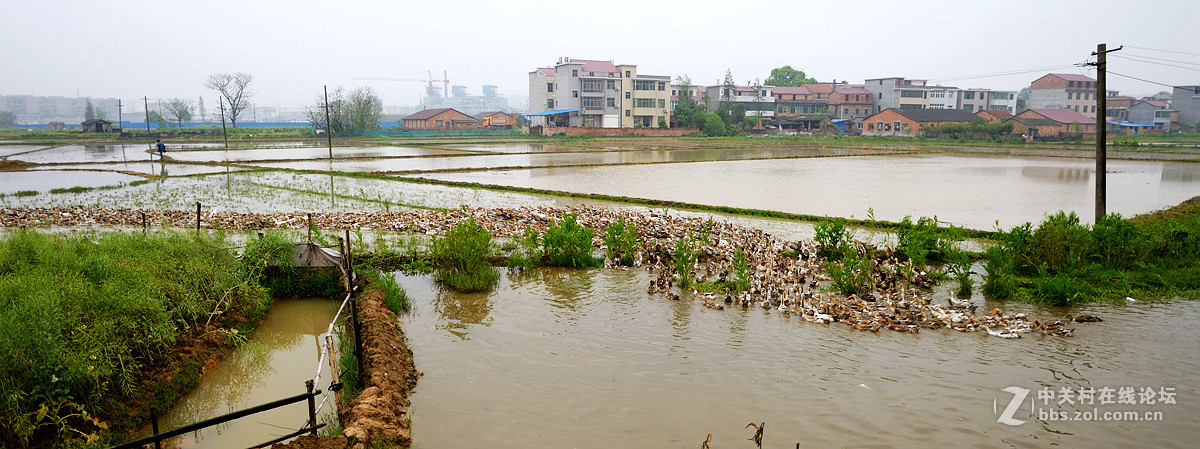 浩浩荡荡的南下大军