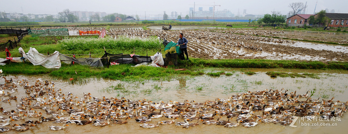 浩浩荡荡的南下大军