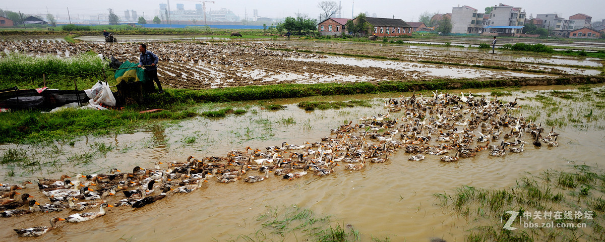 浩浩荡荡的南下大军