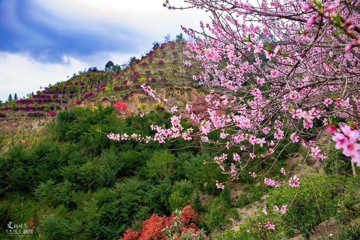 山庄随拍……。
