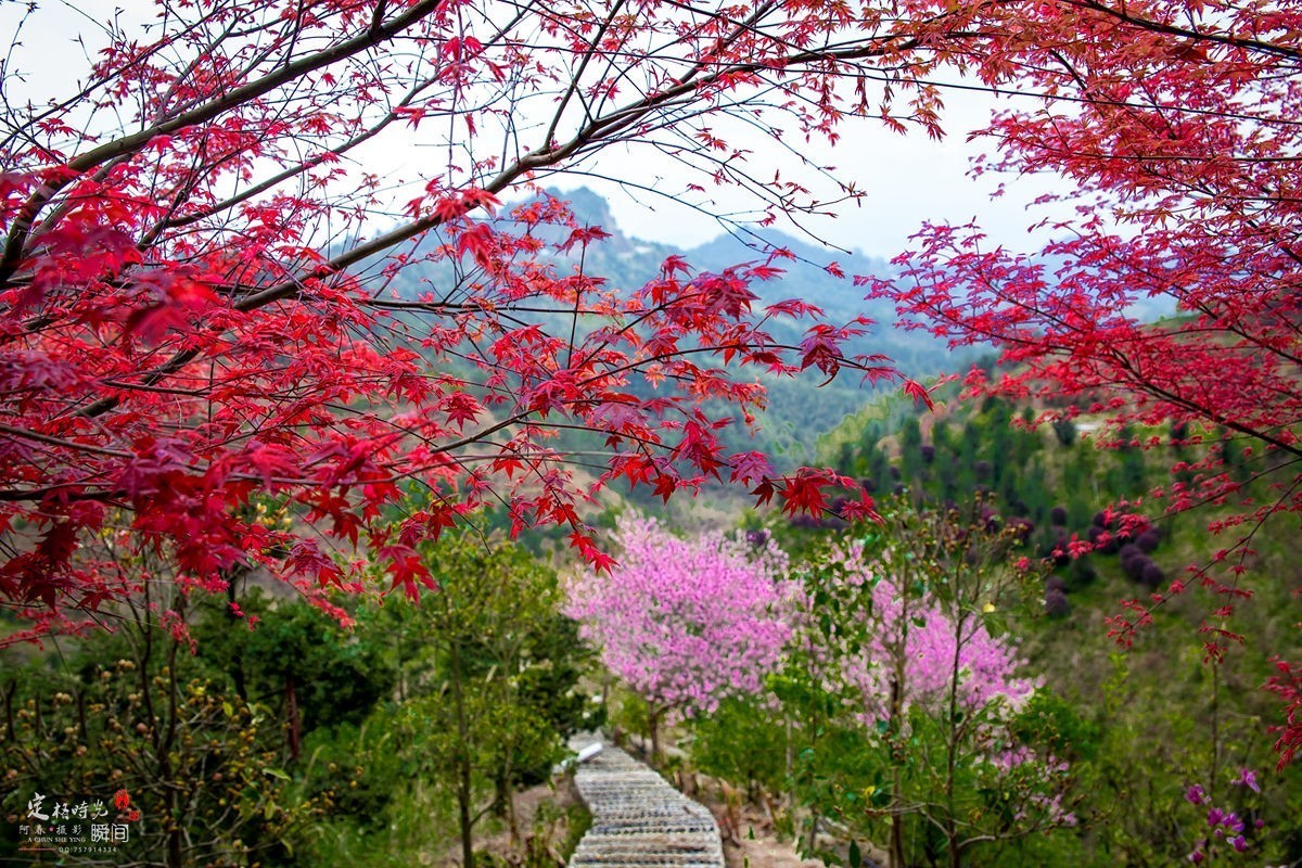 山庄随拍……。