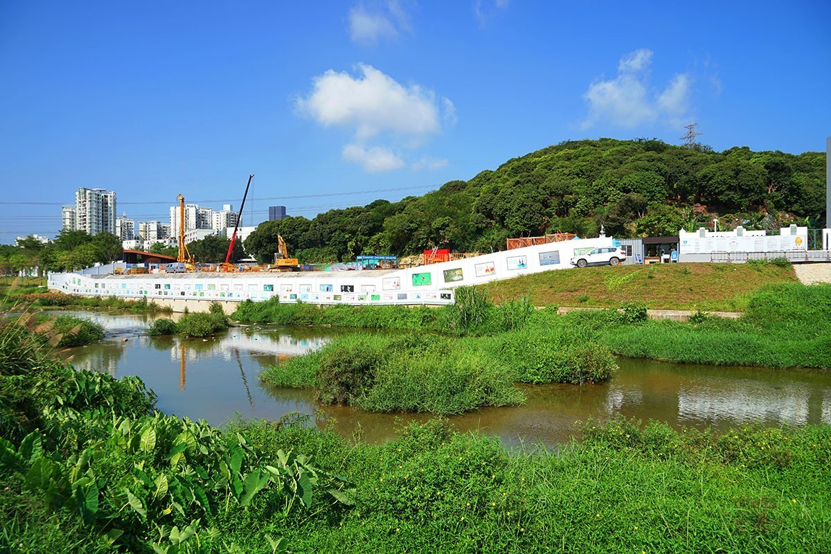 深圳九祥岭湿地公园