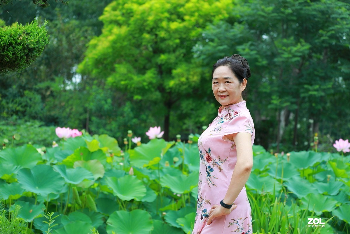 夏日荷花人像习作
