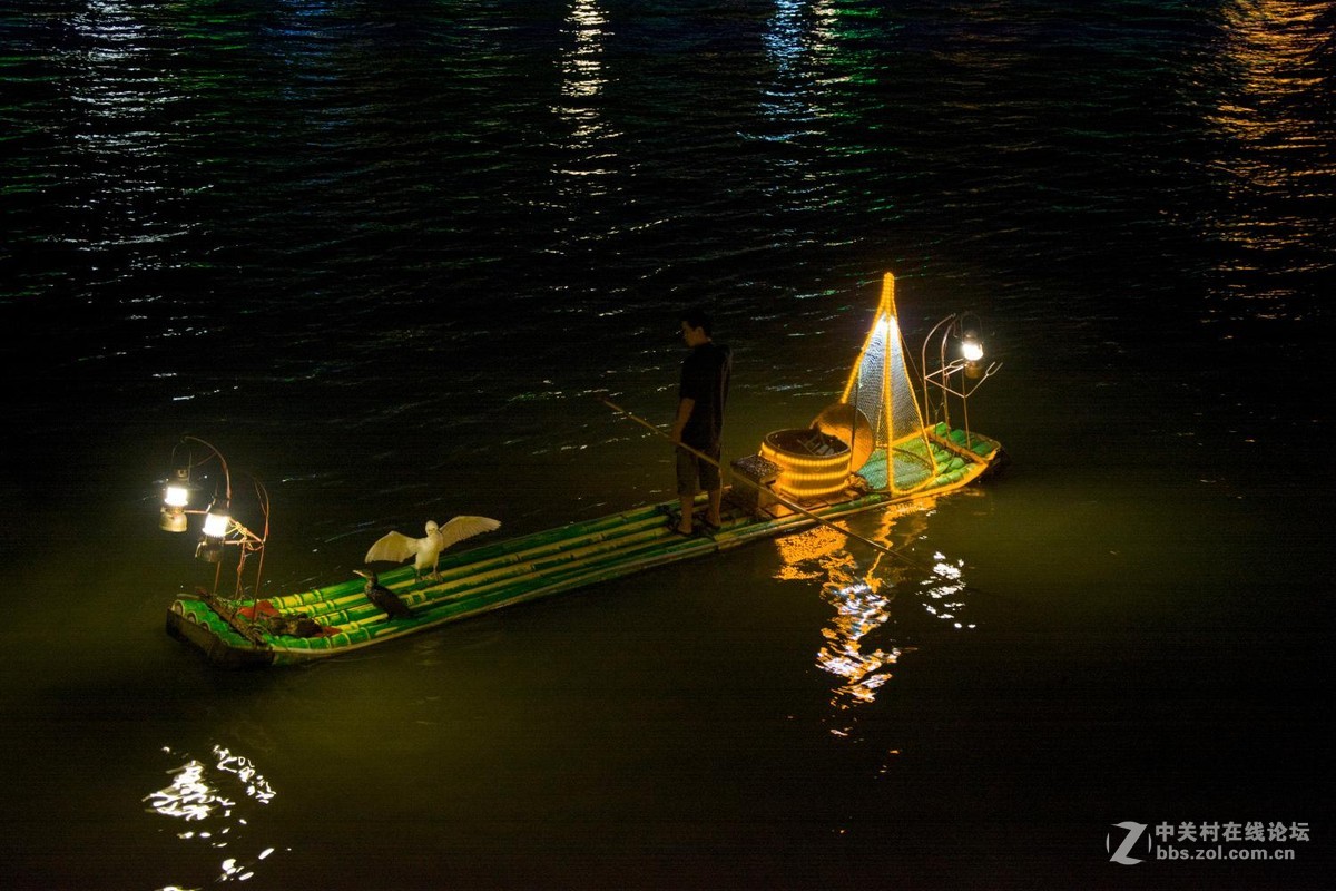 桂湖渔灯