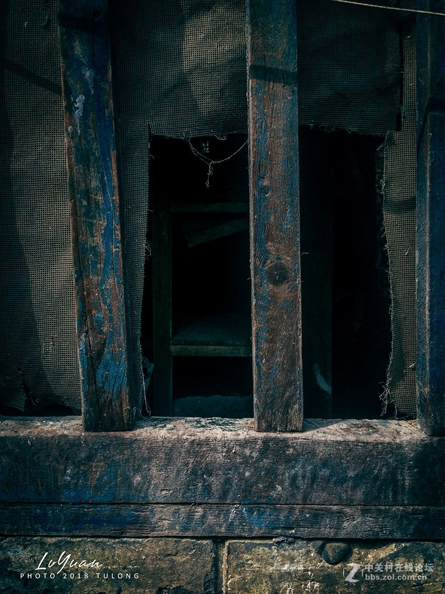 【图龙摄影】～用手机发现身边的美～第95集