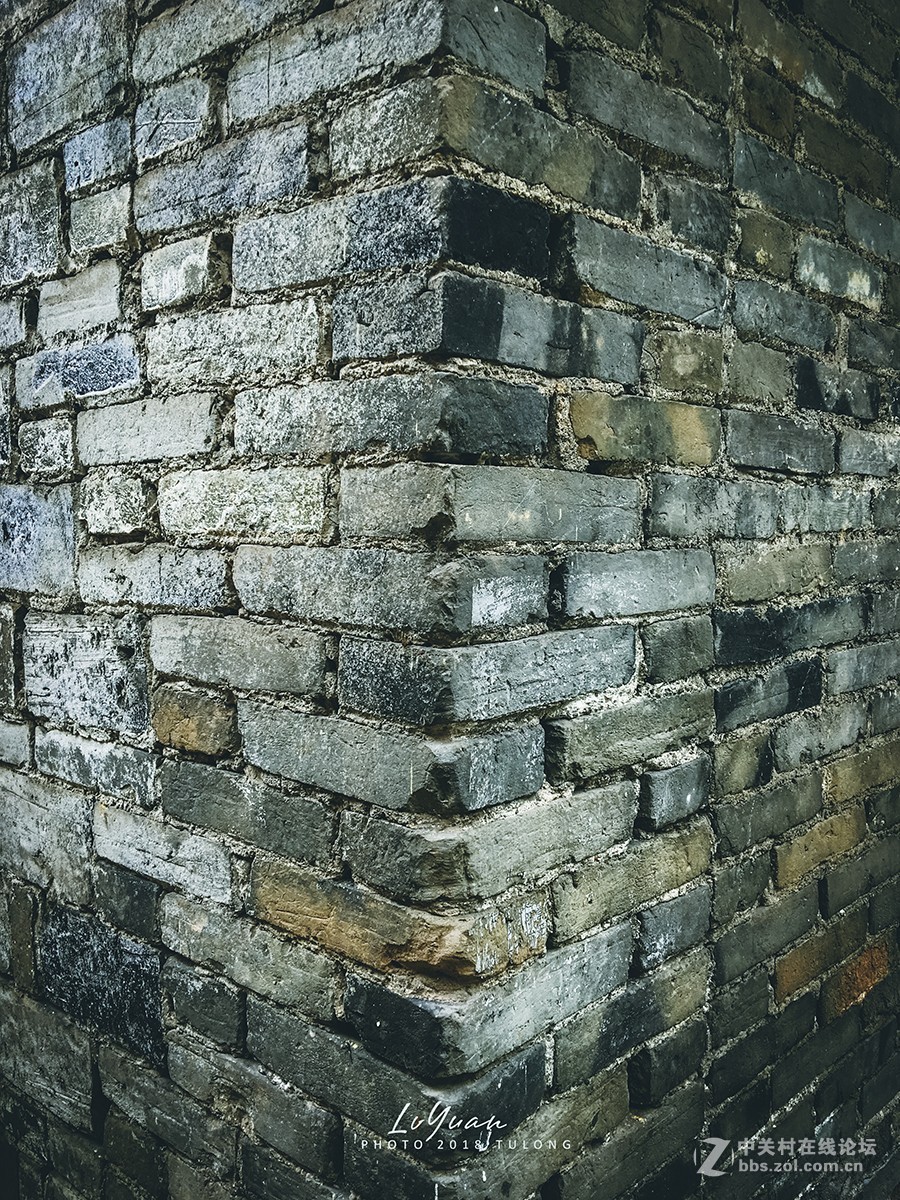 【图龙摄影】～用手机发现身边的美～第95集