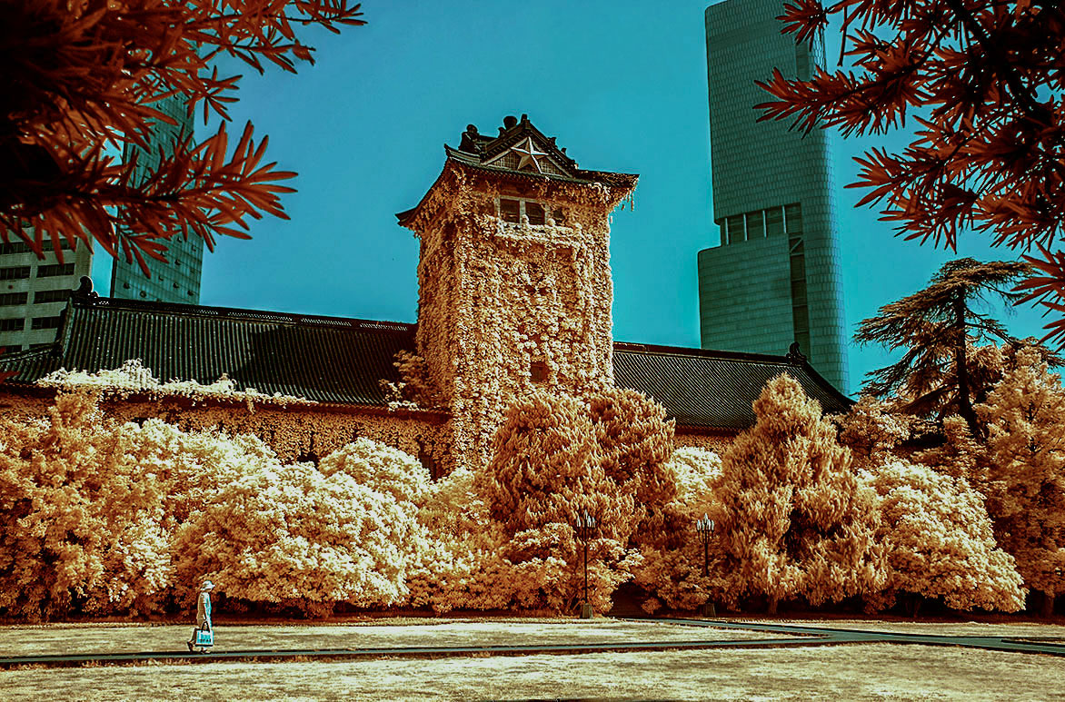 再拍金陵四十八景---4、南京大学北大楼-中关村在线摄影论坛