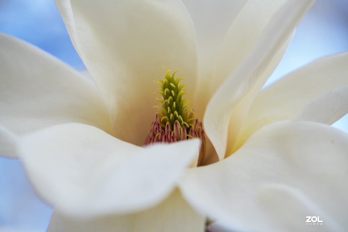 只能在小区院子里“旅游”啦