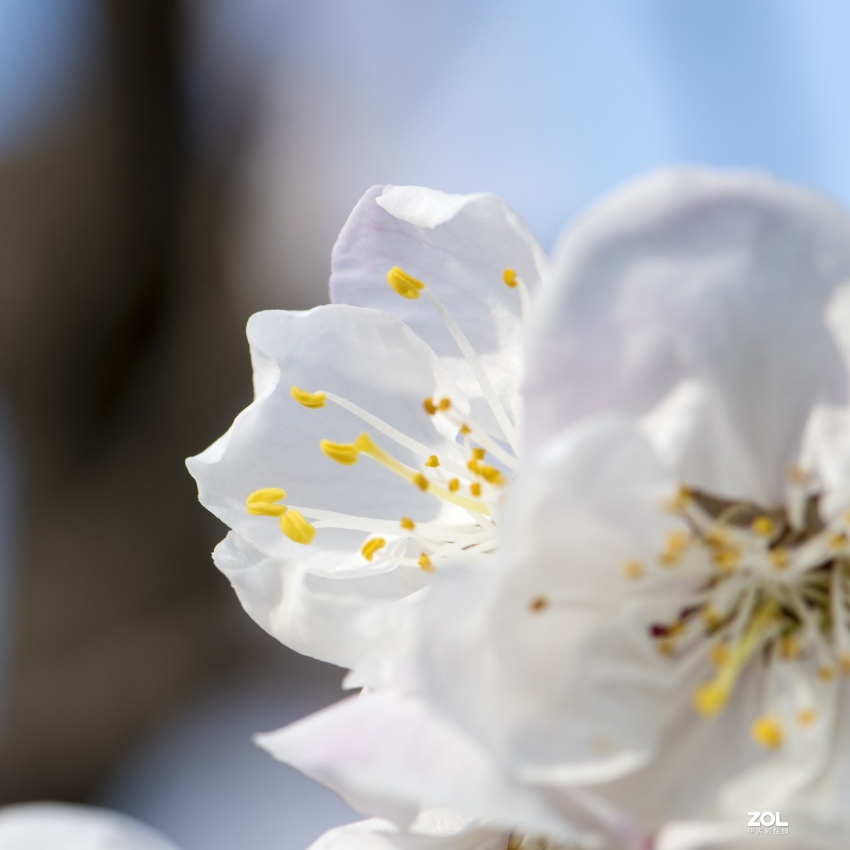 只能在小区院子里“旅游”啦