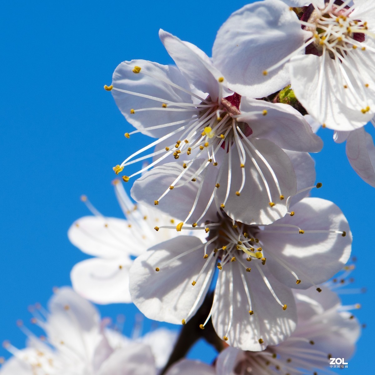 只能在小区院子里“旅游”啦