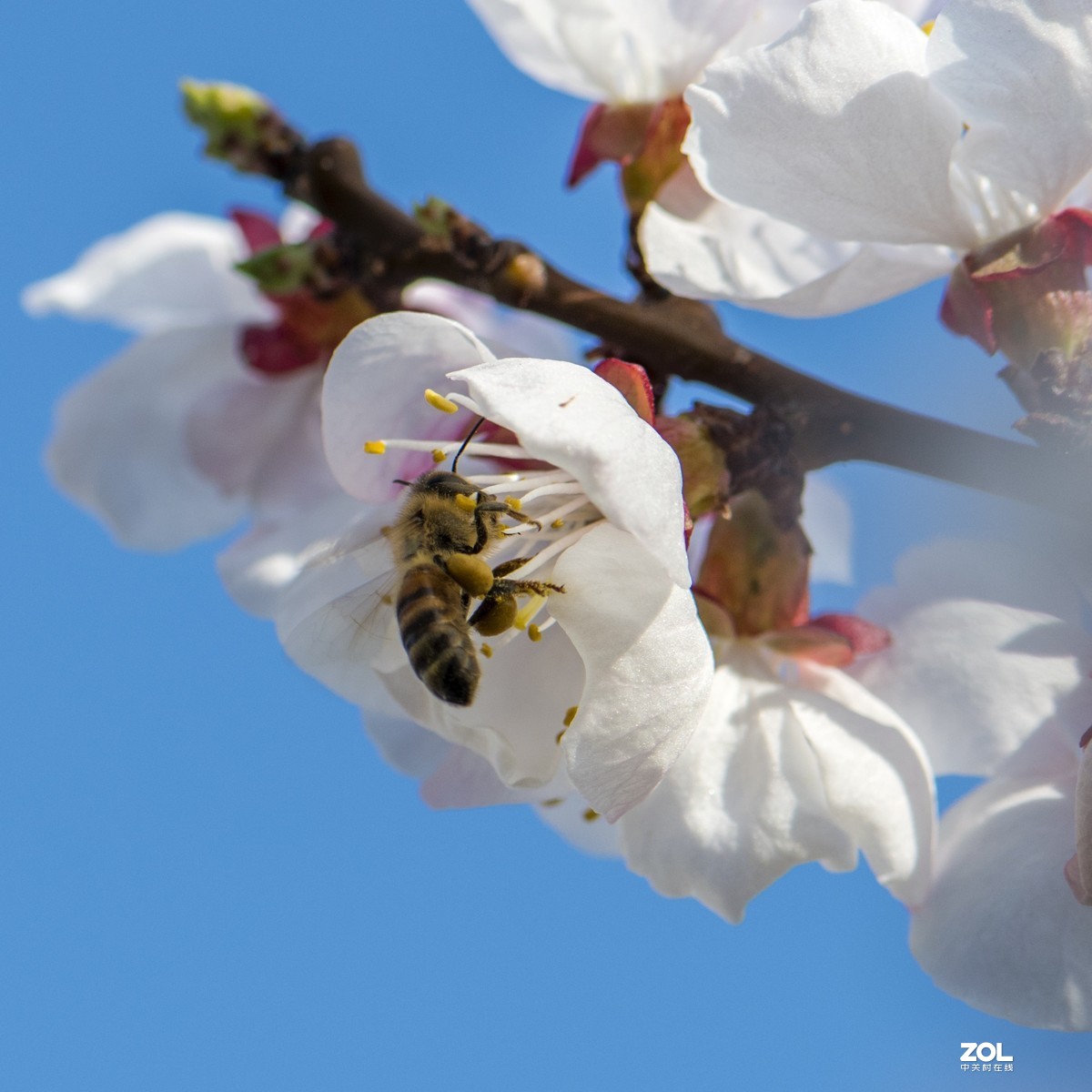 只能在小区院子里“旅游”啦