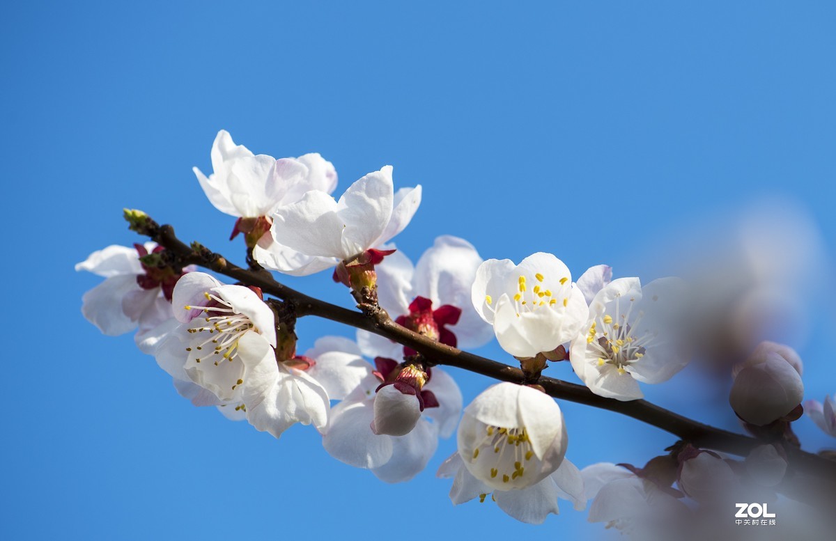 只能在小区院子里“旅游”啦