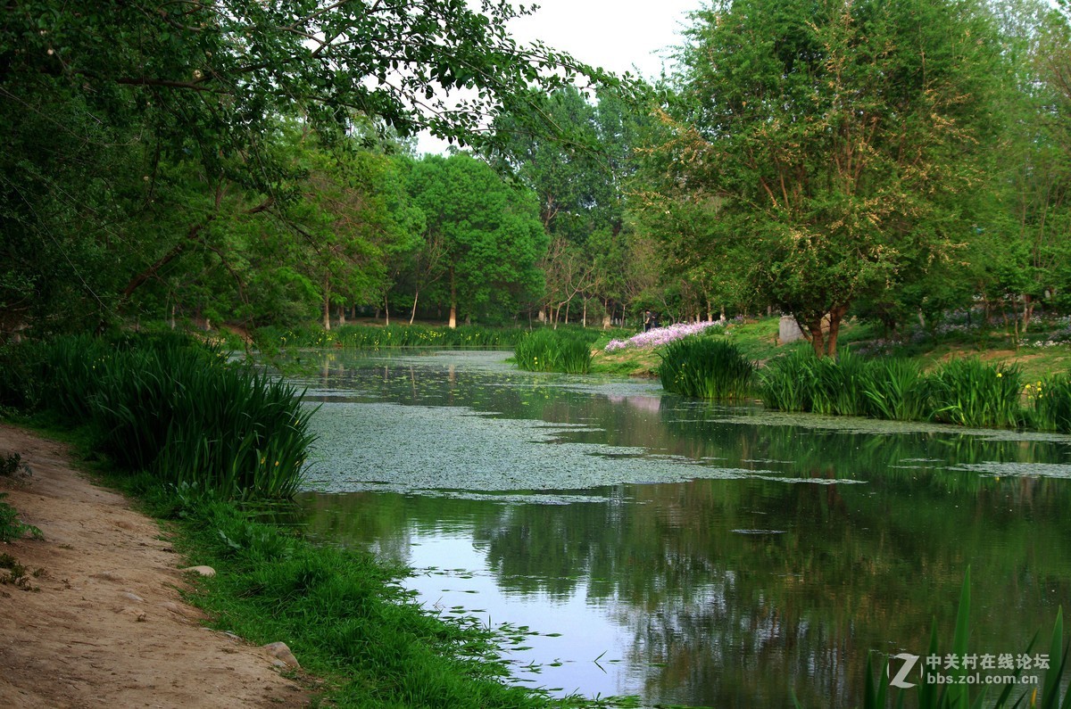 2019北京奧森公園北園靜靜的河邊